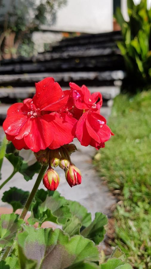Villa Del Cigno Lecco Ngoại thất bức ảnh